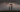 J W ju, źródło unsplash